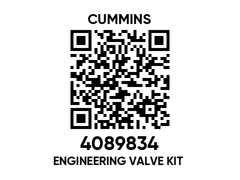 4089379 Engineering valve kit - Cummins spare part