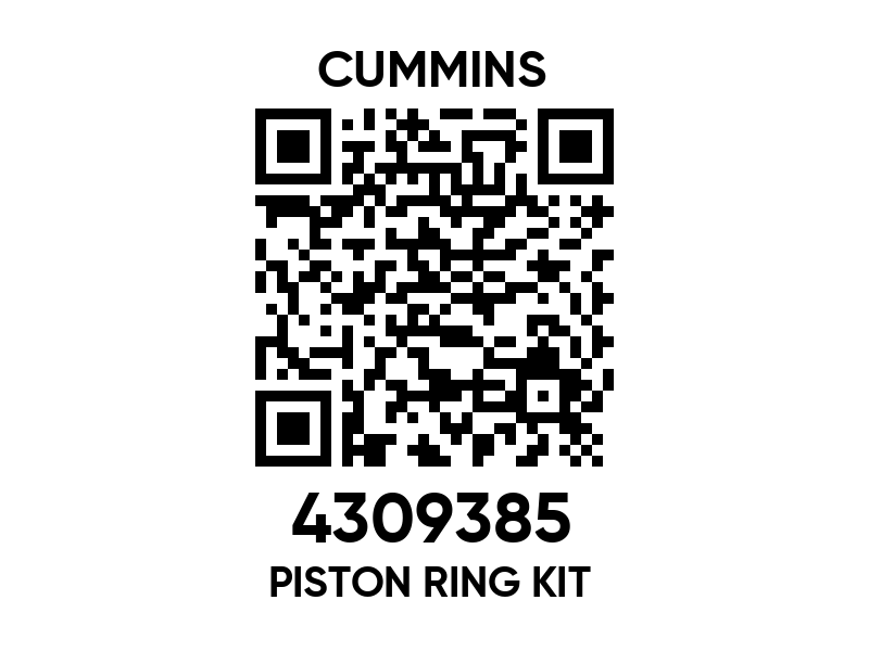 4309385 Piston ring kit - Cummins spare part | 777parts.com 